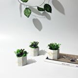 Beton Dekoratif Geometrik Saksı Set