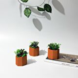Beton Dekoratif Geometrik Saksı Set