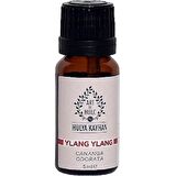 Art De Huile Ylang 5 ml