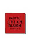 Pastel Profashion Krem Allık 43