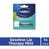 Vaseline Mint Lip Care