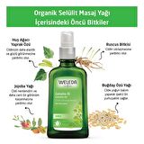 Weleda Birke Selülit Yağı 100 ml