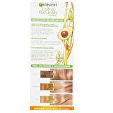 Garnier Color Natural Boya 9.13 Açık Küllü Sarı
