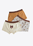 Organik Bear 3'lü Boxer Kahverengi
