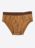 Organik Bear 3'lü Külot Kahverengi
