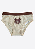Organik Bear 3'lü Külot Kahverengi