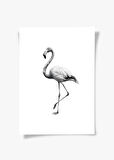 Karakalem Koleksiyonu Flamingo Posteri