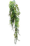 Sarkıt Sarmaşık 90 cm