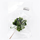 Hobbytime 11 Cm. Yuvarlak Formlu Yaz Yeşili Ağacı Modeli, 1 Adet