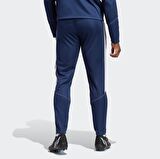 Adidas Erkek Eşofman Altı HZ0173
