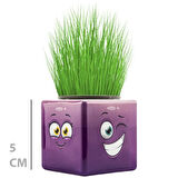 Çim Adam Mini Küp Emoji Figürlü 1 Adet