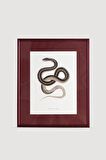 Serpent Serisi Tablo No:3