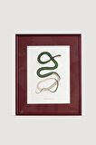 Serpent Serisi Tablo No:5