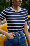 Bisiklet Yaka Lacivert Çizgili Triko T-shirt
