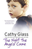 The Night the Angels Came  -Cathy Glass