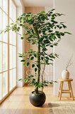120 cm Yapay Ficus Ağacı Siyah 27x33 Küre Saksılı