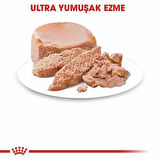 Royal Canin BabyCat İnstinctive 195 gr