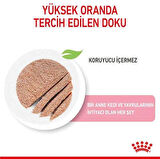 Royal Canin BabyCat İnstinctive 195 gr
