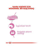 Royal Canin BabyCat İnstinctive 195 gr