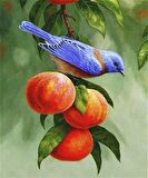 Movas Sanat Meyvelerle Dolu Dala Konan Kuş Elmas Mozaik Tablo / Mozaik Puzzle 35 x 40cm E2020-1491-M