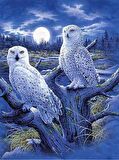 Movas Sanat Dolunayın Beyaz Baykuşları  Elmas Mozaik Tablo / Hobi / Mozaik Puzzle 40x60cm E20201905M
