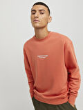 JORVESTERBRO SWEAT CREW NECK NOOS Ginger