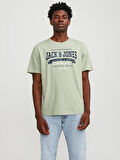 JJELOGO TEE SS O-NECK 2 COL SS24 SN SAGE