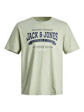 JJELOGO TEE SS O-NECK 2 COL SS24 SN SAGE