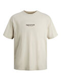 JORVESTERBRO TEE SS CREW NECK NOOS Moonbeam
