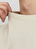 JORVESTERBRO TEE SS CREW NECK NOOS Moonbeam