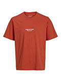 JORVESTERBRO TEE SS CREW NECK NOOS Summer