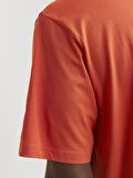 JORVESTERBRO TEE SS CREW NECK NOOS Summer