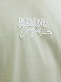 JORALMERIA BRANDING TEE SS CREW NECK Celadon Tint