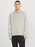 JJEBRADLEY SWEAT POLO NOOS Moonbeam