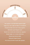 The Foundation - Kapatıcı Fondöten Dark 30 ml