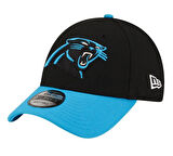 Panthers NFL 60566037