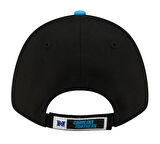 Panthers NFL 60566037