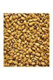 Versele Laga Nutribird P15 Original Meyveli 10 Kg Papağan Yemi 
