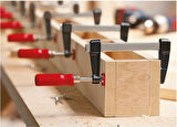 Bessey TPN60S12BE Standart Büyük Tip Marangoz İşkence 600mm 5500N