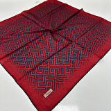 Picasso Jakarlı Soft Eşarp Bordo - Lacivert LDFZ0502