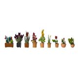 Noch 14012 Saksı Bitkileri, 9 Adet, Diorama Malzemesi