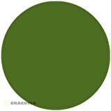 26-042-004 TRIM BANT-LIGHT GREEN- 4MM-15 METRE