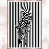 Çizgilerin Dansı Zebra - Modern Minimalist Poster