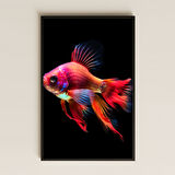 Renkli Neon Japon Balığı Tasarımlı Şeffaf Pleksi Tablo