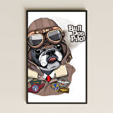 Bull Dog Pilot Temalı Mizahi İllüstrasyon Pleksi Tablo