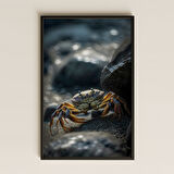 Kayalıkta Yürüyen Yengeç Temalı Realistik Pleksi Tablo