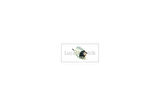 MARS OTOMATIGI 12V R9 R11 R12 R19 CLIO MEGANE VALEO TIPI