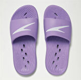 Speedo Slide Kadın Terlik