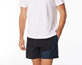 Speedo Medley Logo Erkek Deniz Şortu