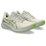 Asics Gt-1000 13 Tr Erkek Koşu Ayakkabısı